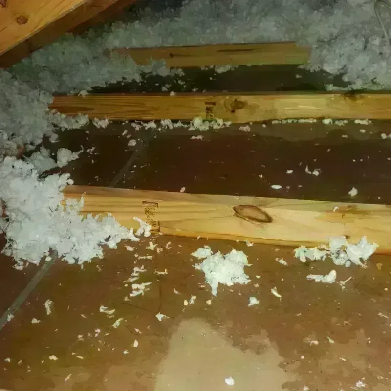 Attic Water Damage in Hampshire, IL