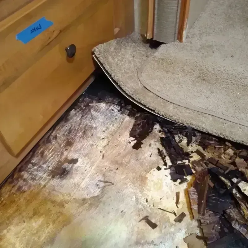 Wood Floor Water Damage in Hampshire, IL